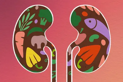 Illustration of two kidneys filled with vegetables, fruit and fish
