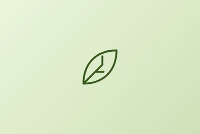 Illustration for Savory Green Beans